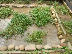 P1070741