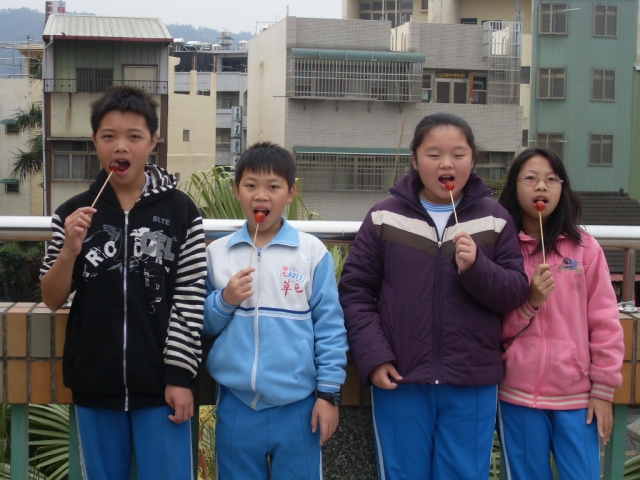 SDC10206