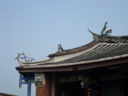 SDC10262