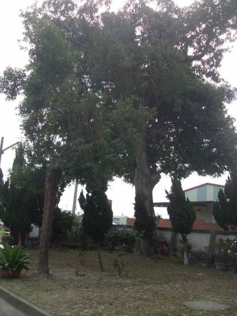 SDC10274