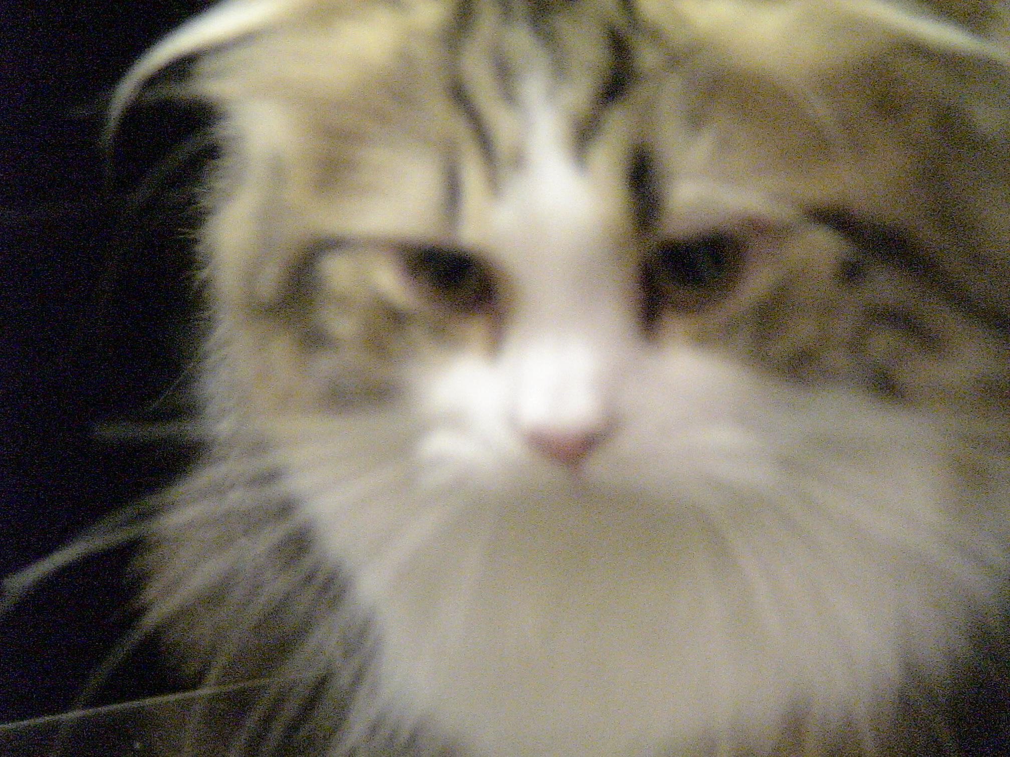 DSC00116