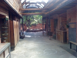 DSC05196