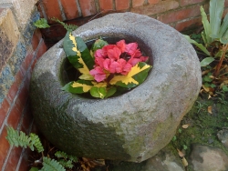 DSC05198