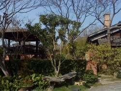 DSC05206