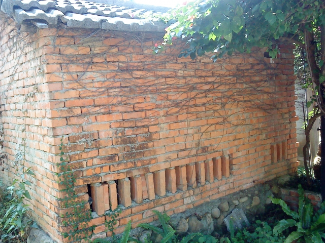 DSC05209