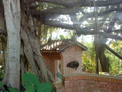 DSC05213