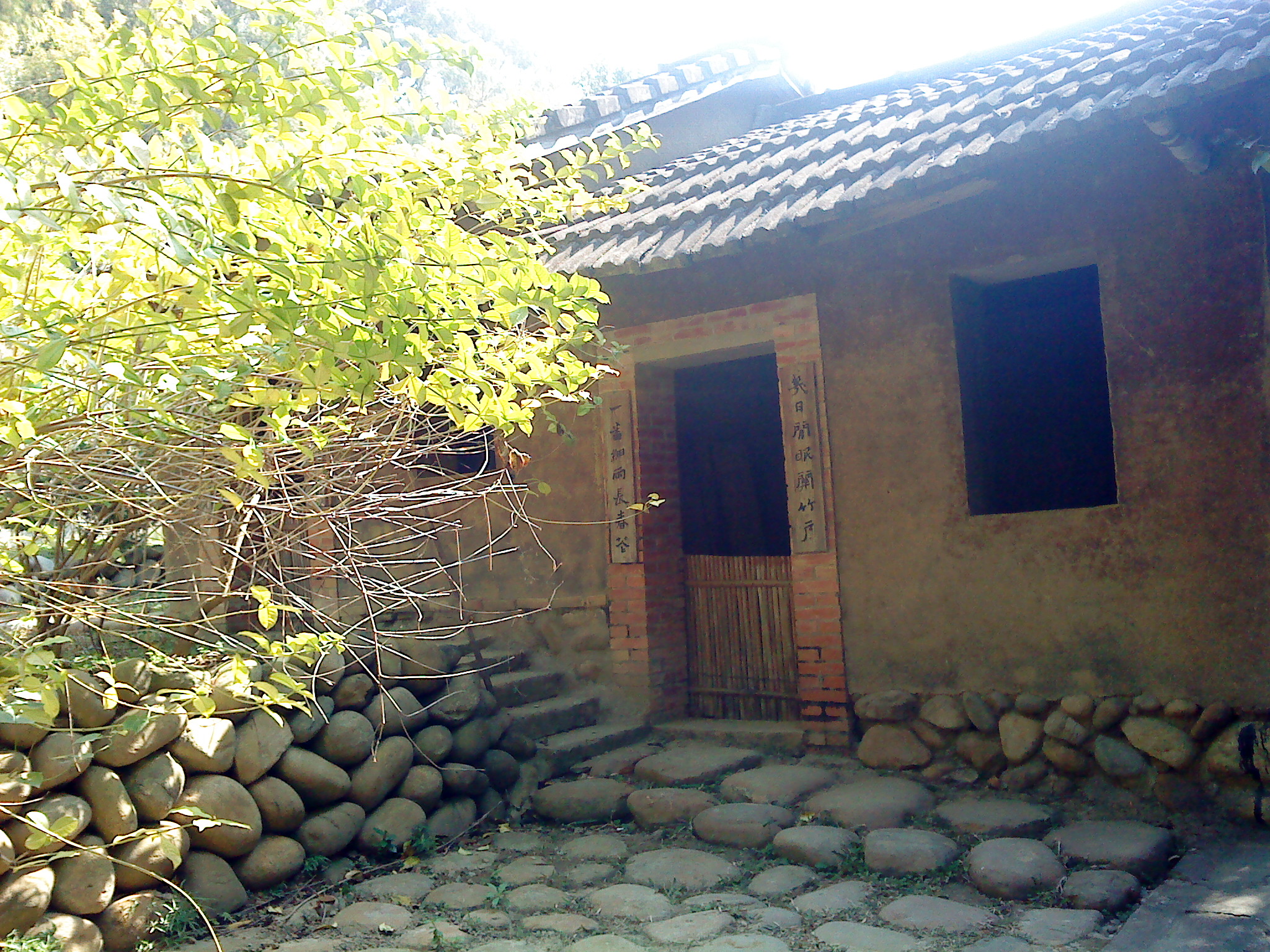 DSC05216