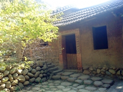 DSC05216