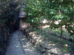 DSC05217
