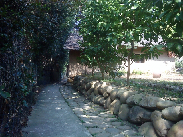 DSC05218