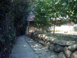 DSC05218