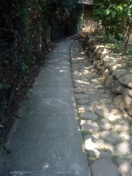 DSC05219