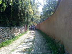 DSC05221