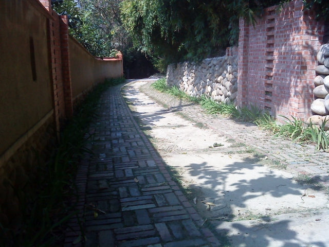 DSC05222