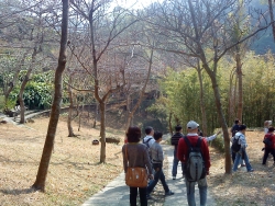 DSC05224