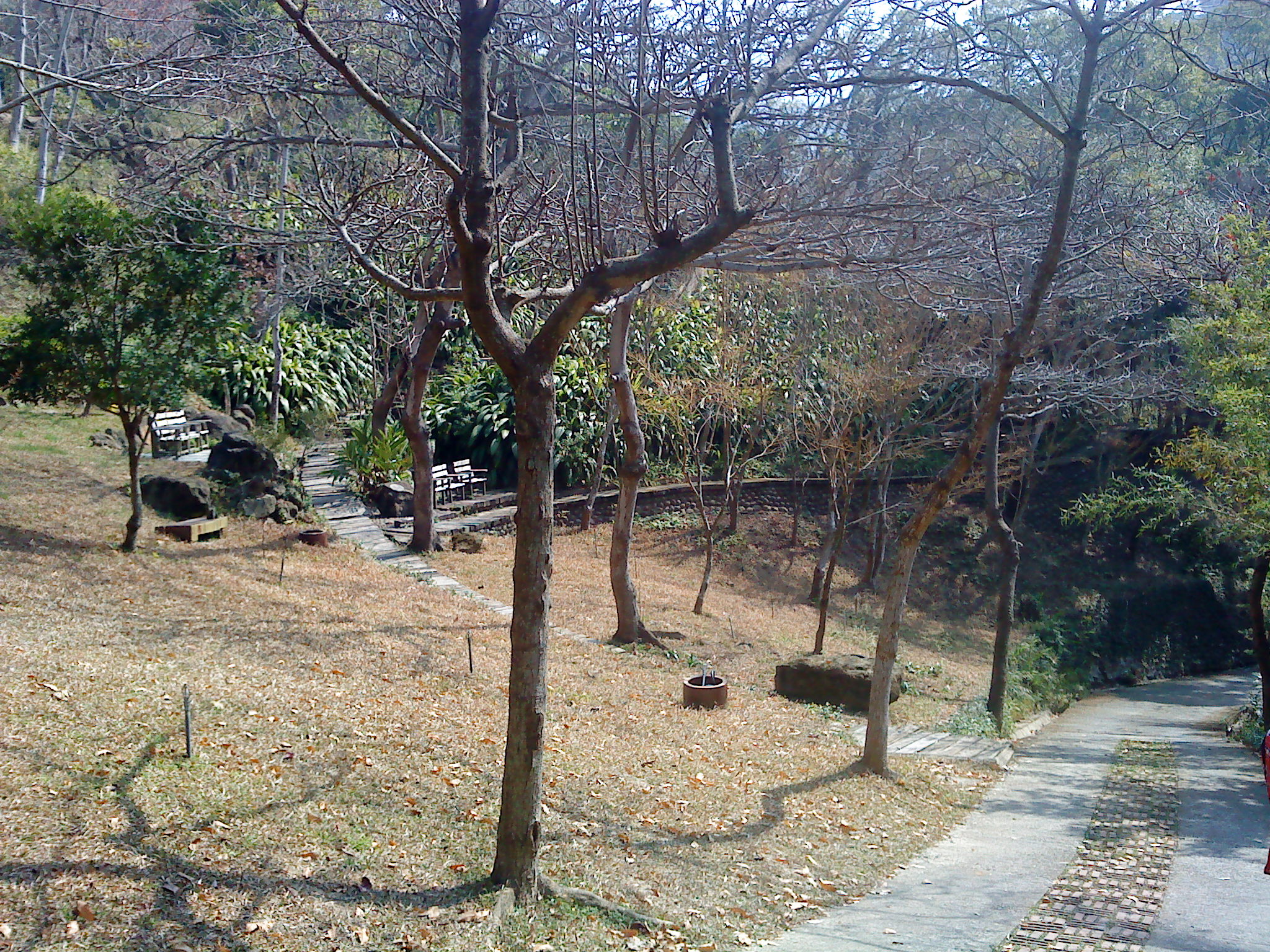 DSC05225