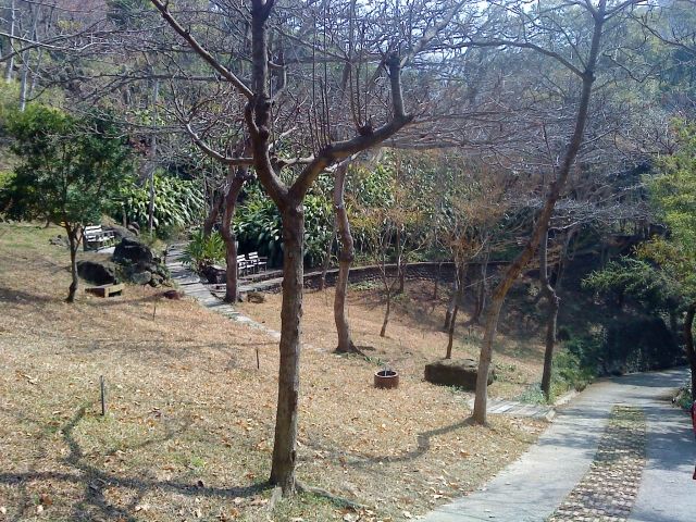 DSC05225