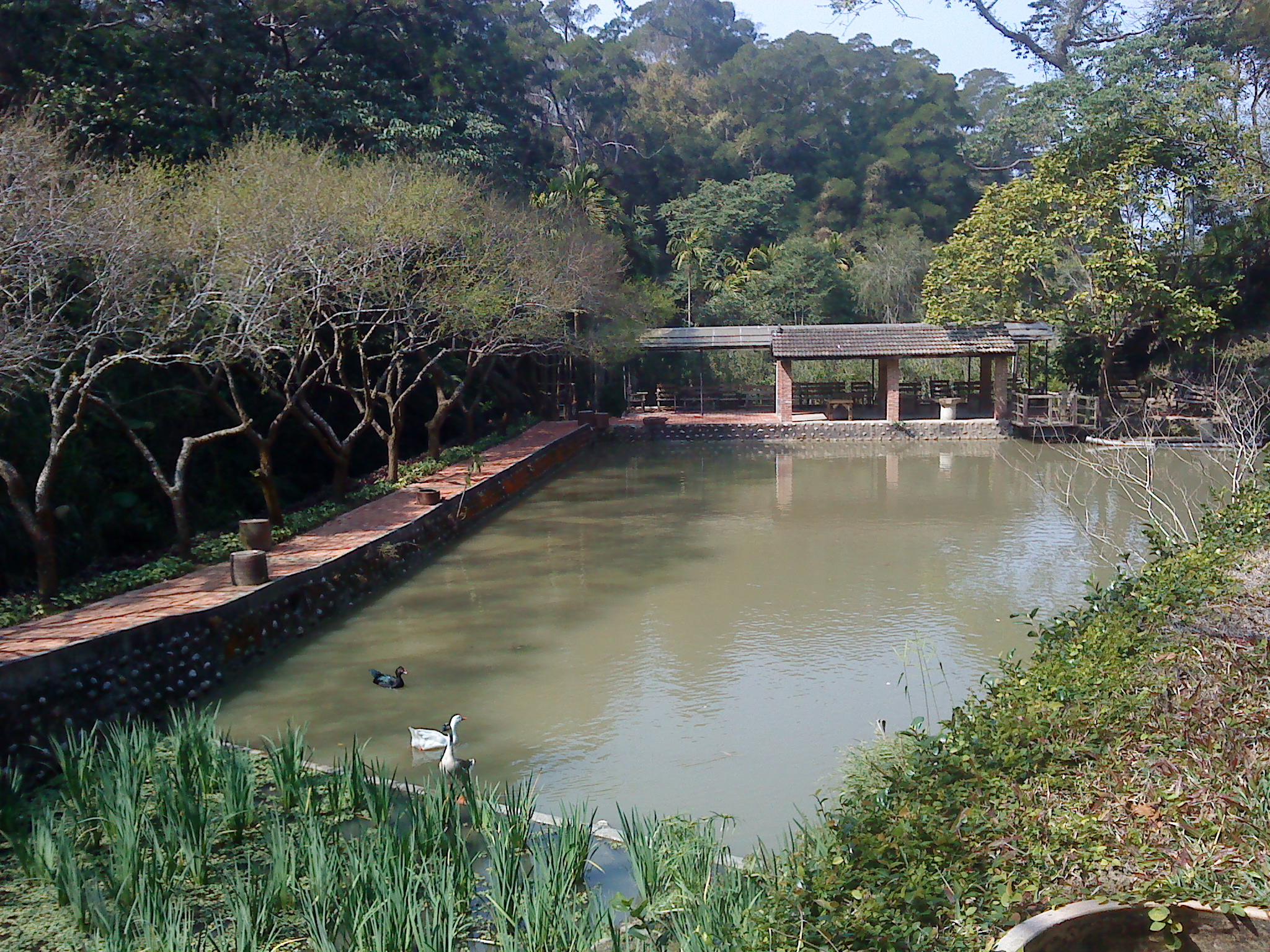 DSC05232