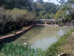 DSC05232