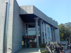 DSC05239