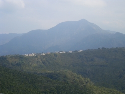 SDC19785