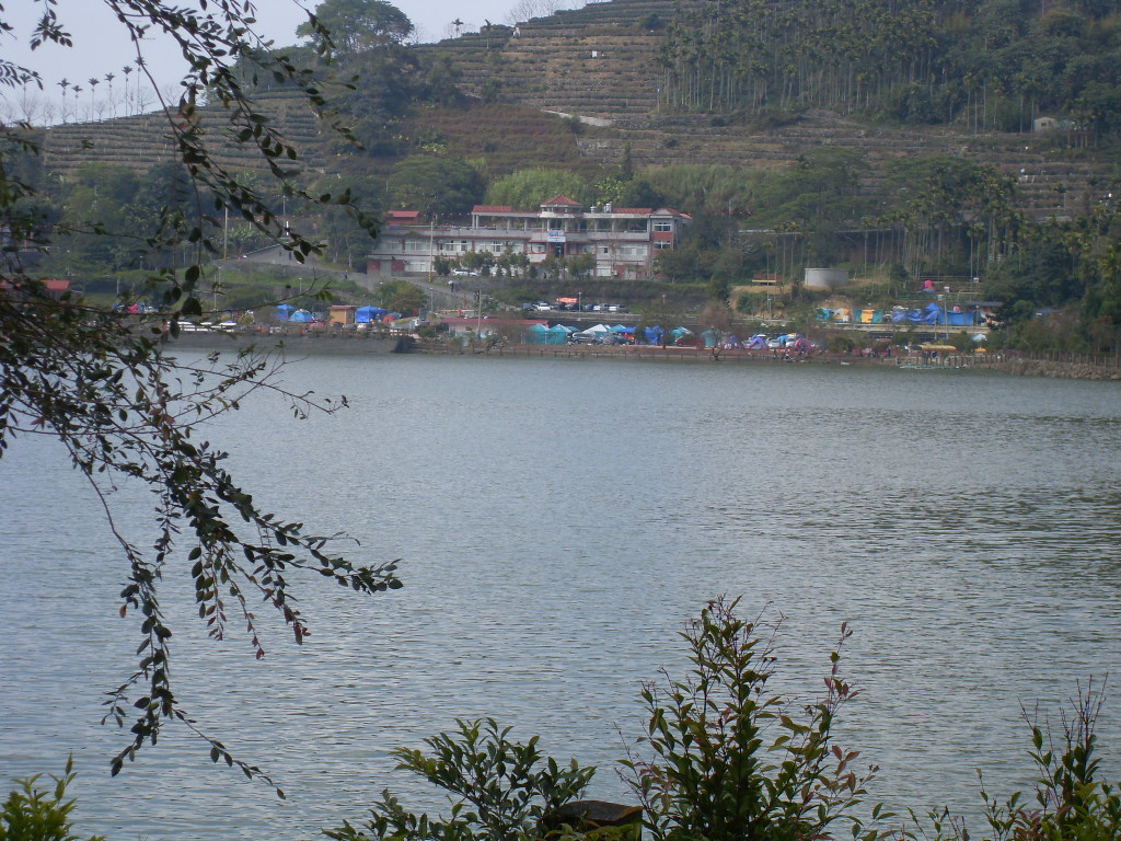 SDC19786