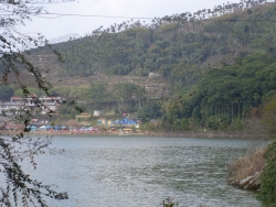 SDC19787