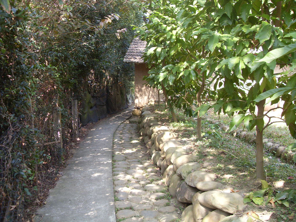 SDC19790