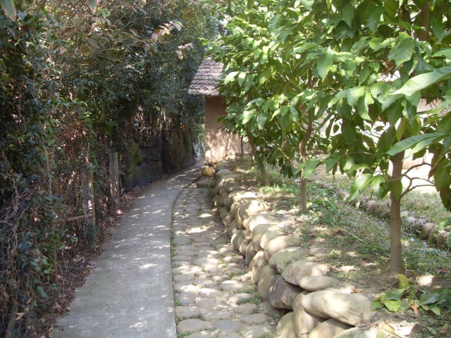SDC19790
