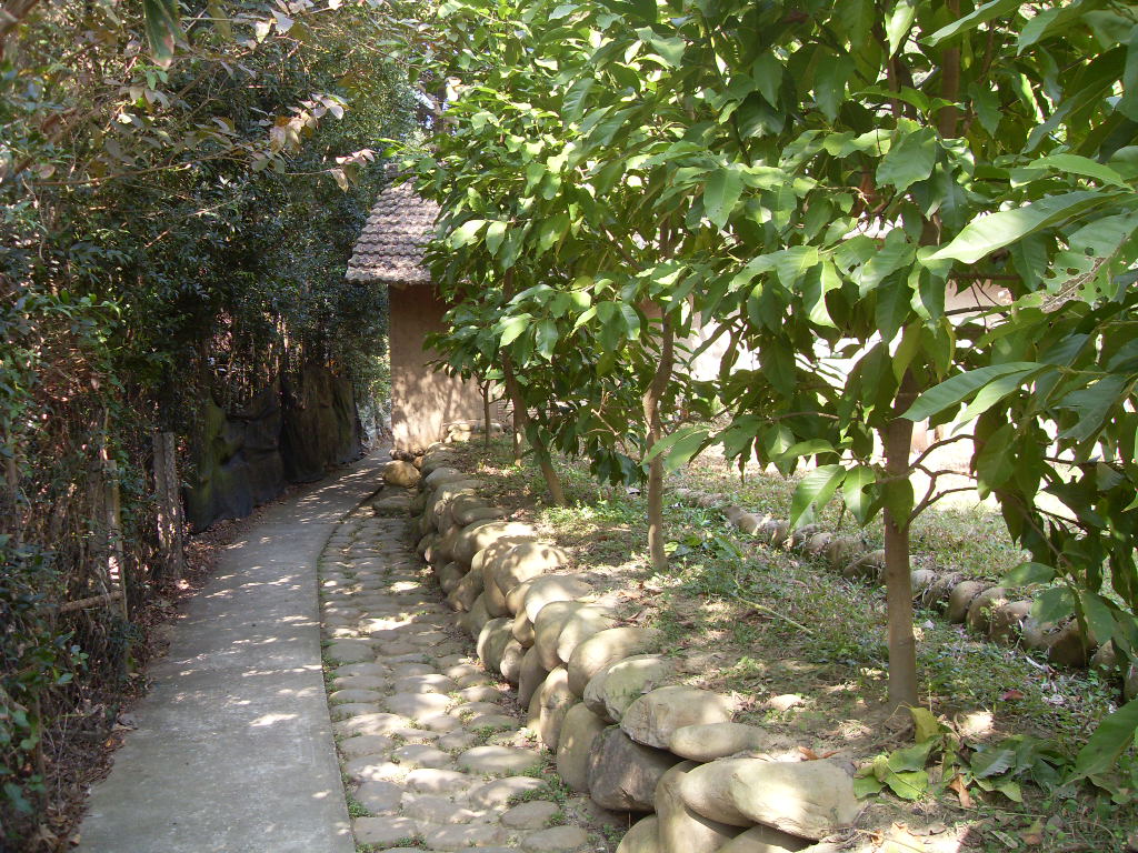 SDC19791