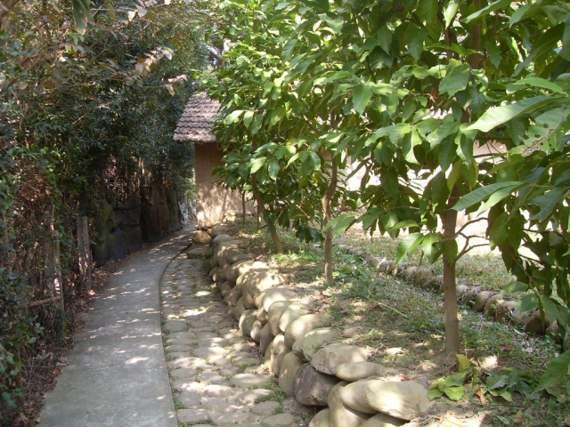 SDC19791