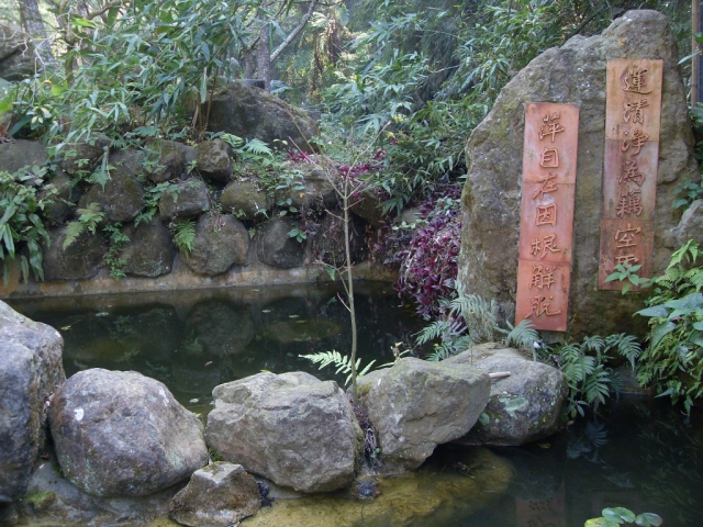 SDC19798