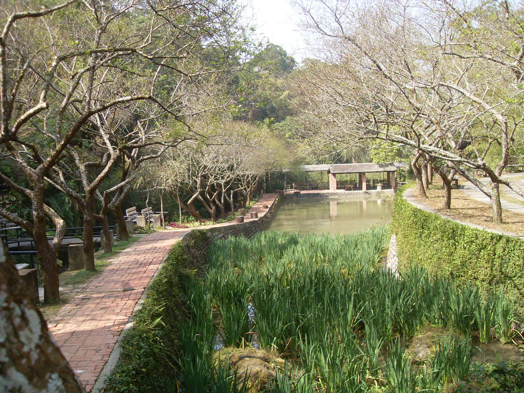 SDC19799