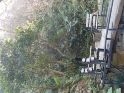 SDC19801
