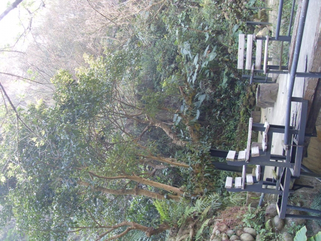 SDC19802