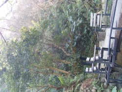 SDC19802
