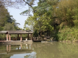 SDC19814