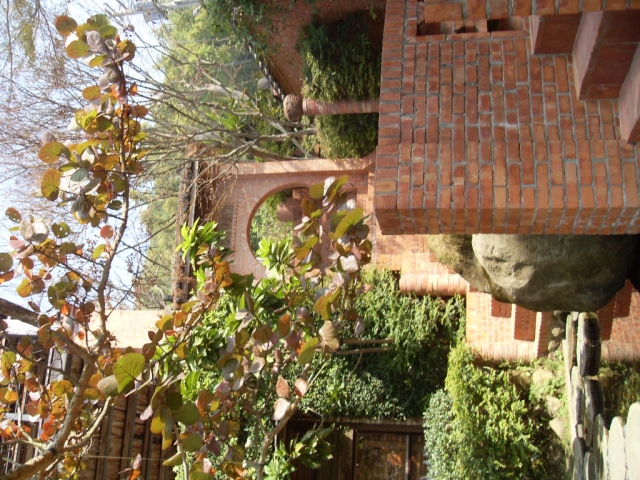 SDC19830