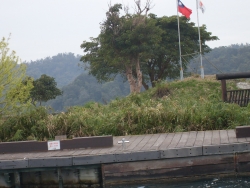 SDC19846