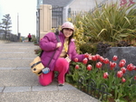 DSCF0247