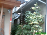 PICT0024