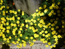 P1110949