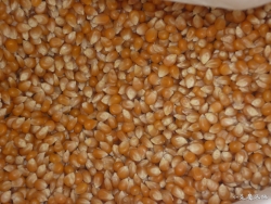 P1120290