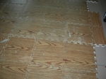 DSCN0472