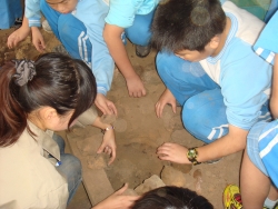 DSC04468