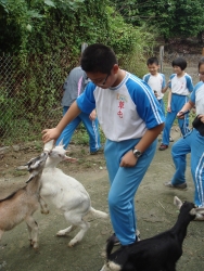 DSC04540
