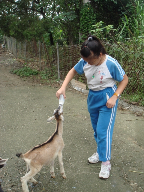 DSC04543
