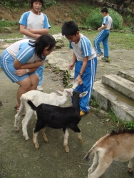 DSC04545