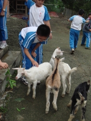 DSC04546
