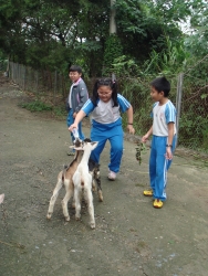DSC04547